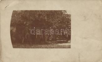 Szatmárnémeti photo (EB)