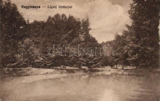 Nagybánya park lake So.Stpl