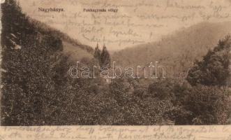 Nagybánya Fokhagymás-völgy / valley