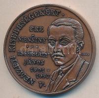 Lebó Ferenc (1960-) 1991. "A Nemzeti Kisebbségekért - Eszterházy János" Br emlékérem (42,5mm) peremén sorszámozott T:2