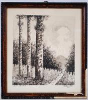 Puskás Ede: Soproni Lővérek. Vegyest technika, papír, jelzett, üvegezett keretben 28×25 cm