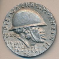 Német Birodalom 1920. "Rajnai fekete szégyen" Al öntött emlékérem. Szign.: Karl Götz T:2
G...