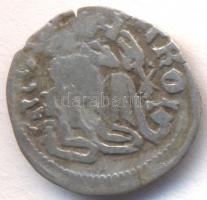 1482-1490. Denár Ag "I. Mátyás" (0.47g) T:2-,3
Huszár: 720., Unger I.: 566.j