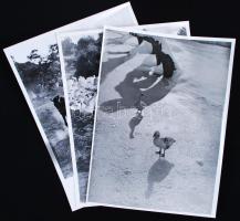 Balogh Rudolf (1879-1944): 3db fotó: Téli árnyak, Libák, Lovasszekér. 24x18cm