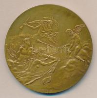 Franciaország 1987. "Hotel Lambert" Br emlékérem (68mm) szign.: j. Boyer T:1 dísztokban
Fr...