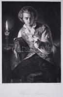 Wilhelm Meister, acélmetszet, megjelent a Goethe galéria című könyvben, Lipcse 1864, 11×16 cm