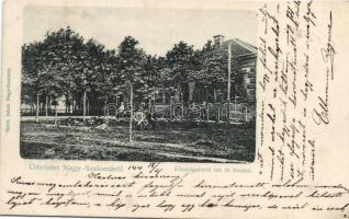 Nagyszalonta court official house and office (cut)