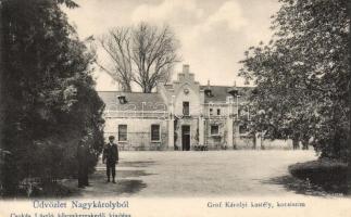 Nagykároly Károlyi castle, cart house
