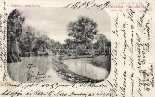 Földeák Gajdos park (fl)