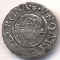 1578K-B Denár Ag "Miksa" (0,42g) T:2- Huszár 993., Unger II 767.a