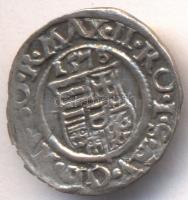 1578K-B Denár Ag "Miksa" (0,42g) T:2-
Huszár 993., Unger II 767.a