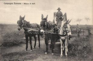 Roman Campagna mule cart