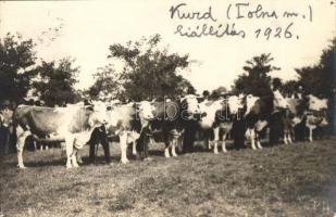Kurd mezőgazdasági kiállítás 1926 (lyuk / pinhole)