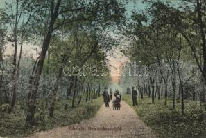 Balatonkenese sétaút a Balatonhoz