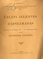 1913 Neusclosz-féle Nasici Tanningyár és Gőzfűrés Rt üzleti jelentése