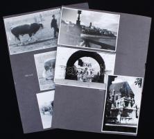 12 db fotó az 50-es évekből( Budapest, ló és marha vásár), 14×9 cm