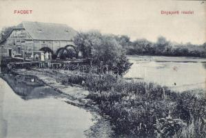 Facsád (Facset) Béga riverside, water mill