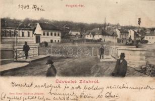 Zilah Polgári square (fl)