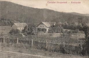 Diósjenő erdészlak