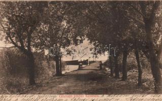 Balatonkenese gőzhajókikötő