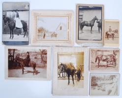 cca 1880-1910 Lovak, lovasok, 8 db keményhátú fotó / Horses 8 vintage photos