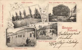 Pályin herd, Ottó grove, commander house, veterinarian house