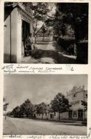 Csorvás Neller János üzlete, Apolló mozi