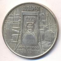 Csúcs Viktória (1934-) 1973. "Pest-Buda-Óbuda egyesítésének centenáriuma / ÁPV emléktallér" Ag emlékérem (25.35g/0.800) T:1-