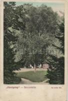 Balatonlelle Károlytelep (EK)