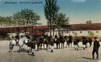 Mezőhegyes Lovászfiúk gyakorlata (Rb)