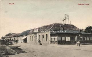 Tata Rákóczi utca (fa)