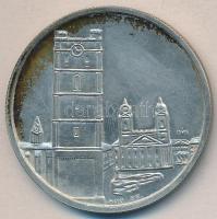 Csúcs Viktória (1934-) 1970. "Budapesti Éremgyűjtők I. Vándorgyűlése Debrecen" Ag emlékére...