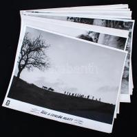 1955 Ház a sziklák alatt című filmből 33 mozikép