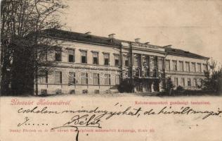 Kolozsvár school of economy (b)