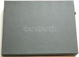 Éremtartó kazetta 1 kivehető tálcával, összesen 24 férőhellyel 50x50mm, újszerű állapotban!