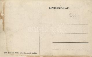 Csíkszereda Krakói alagút / tunnel (fl)