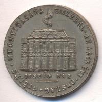 1867. "Magyar Emlék Pénz- Emlékül az 1865. évi Országgyűlés megnyitására / Éljen a Haza" ezüstözött Br emlékérem (38mm) T:2