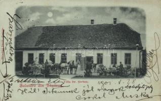 Fogaras Villa Dr. Serban