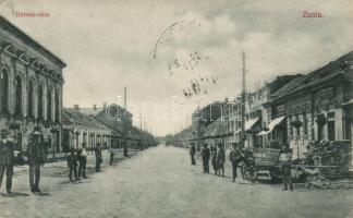 Zenta Eötvös street (fa)