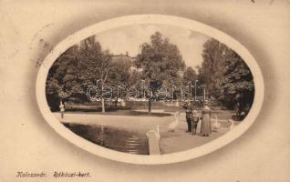 Kolozsvár Rákóczi park, swans