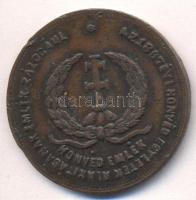 1867. "Honvéd Emlék - Az 1867. évi Honvéd Egyletek Alakításának Emlék Zálogául / A Buda Pesti Koronázás Emlékül" Br emlékpénz (38mm) T:2-