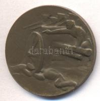 Murányi Gyula (1881-1920) 1915. "A Krasniki diadalmas csatában az oroszoktól elvett ágyúból verette az Auguszta-Alap" Br emlékérem (21mm) T:2-