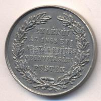 1867. "Emlékül az 1865. évi Országgyűlés megnyitására Pesten / Éljen a Haza" ezüstözött Br emlékérem (39mm) T:2