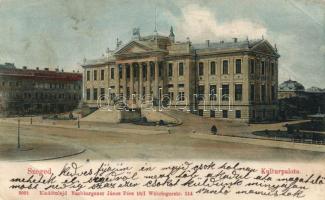 Szeged Kultúrpalota (fa)