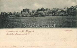 Savanyúkút Postgasse