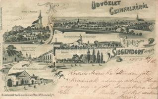 Cinfalva, Siegendorf with Bernhard Neufeld's shop and sugar factory litho (cut)