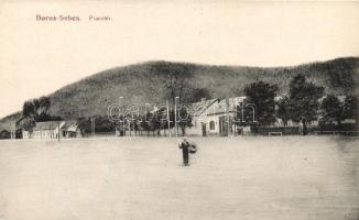 Borossebes market place