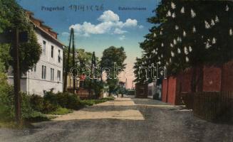 Pragersko, Pragerhof Railway street (Rb)