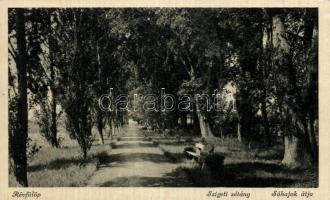 Révfülöp szigeti sétány, Sóhajok útja