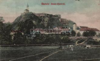 Németújvár with the castle